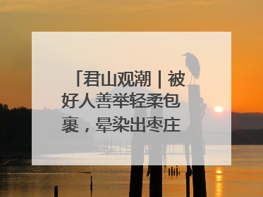 君山观潮｜被好人善举轻柔包裹，晕染出枣庄的温暖底色