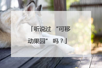 听说过 “可移动果园” 吗？