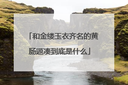 和金缕玉衣齐名的黄肠题凑到底是什么