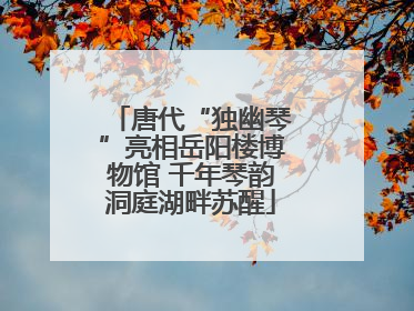 唐代“独幽琴”亮相岳阳楼博物馆 千年琴韵洞庭湖畔苏醒
