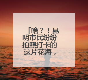 啥？！昆明市民纷纷拍照打卡的这片花海，竟是恶性入侵物种