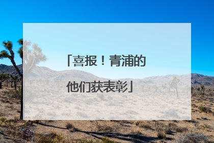喜报！青浦的他们获表彰