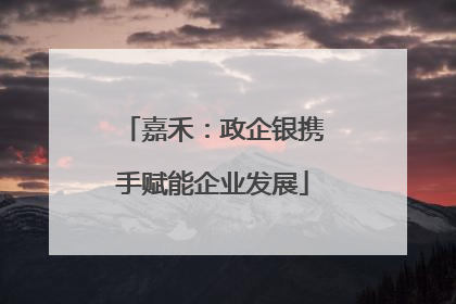 嘉禾：政企银携手赋能企业发展