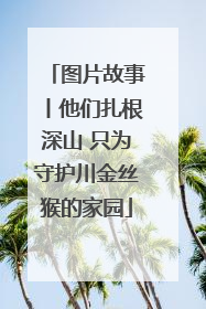 图片故事丨他们扎根深山 只为守护川金丝猴的家园