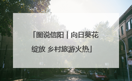 图说信阳｜向日葵花绽放 乡村旅游火热