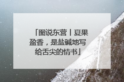 图说东营丨夏果盈香，是盐碱地写给舌尖的情书