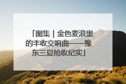 图集｜金色麦浪里的丰收交响曲——豫东三夏抢收纪实