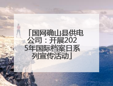 国网确山县供电公司：开展2025年国际档案日系列宣传活动