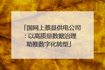 国网上蔡县供电公司：以高质量数据治理 助推数字化转型