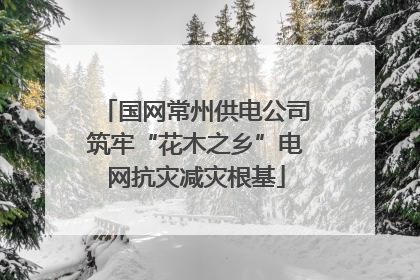 国网常州供电公司筑牢“花木之乡”电网抗灾减灾根基