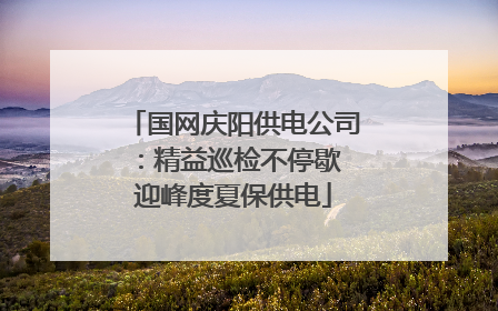 国网庆阳供电公司：精益巡检不停歇 迎峰度夏保供电