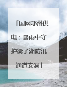 国网鄂州供电：暴雨中守护梁子湖防汛通道安澜