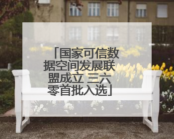 国家可信数据空间发展联盟成立 三六零首批入选