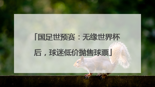 国足世预赛:无缘世界杯后,球迷低价抛售球票