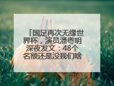 国足再次无缘世界杯，演员潘粤明深夜发文：48个名额还是没我们啥事儿；此前曾多次为国足发声