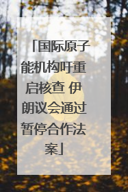 国际原子能机构吁重启核查 伊朗议会通过暂停合作法案