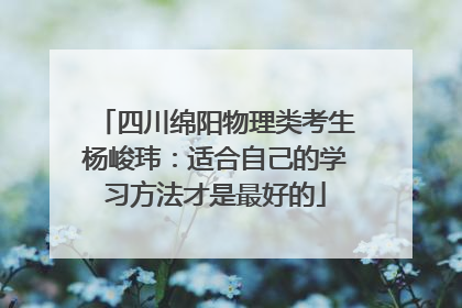 四川绵阳物理类考生杨峻玮：适合自己的学习方法才是最好的