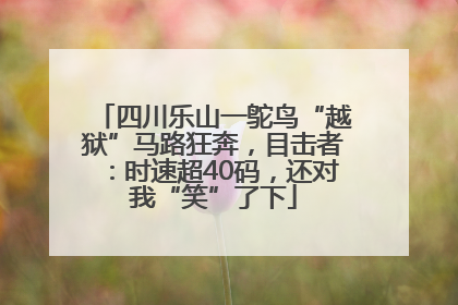 四川乐山一鸵鸟“越狱”马路狂奔，目击者：时速超40码，还对我“笑”了下