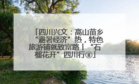 四川兴文：高山苗乡“避暑经济”热，特色旅游铺就致富路丨“石榴花开”四川行⑧