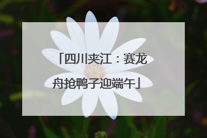 四川夹江：赛龙舟抢鸭子迎端午