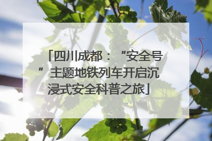 四川成都：“安全号”主题地铁列车开启沉浸式安全科普之旅