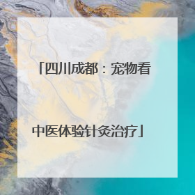 四川成都：宠物看中医体验针灸治疗