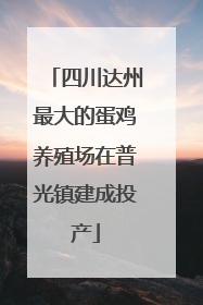 四川达州最大的蛋鸡养殖场在普光镇建成投产
