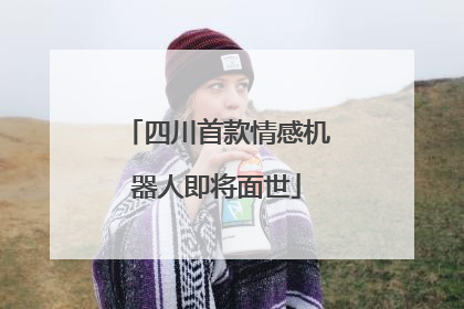 四川首款情感机器人即将面世