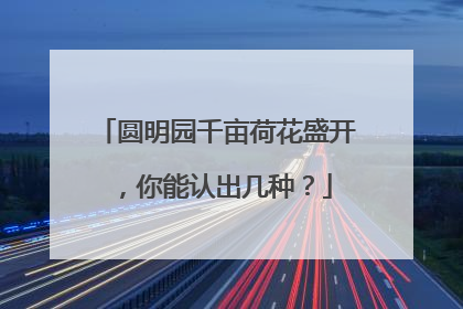 圆明园千亩荷花盛开，你能认出几种？