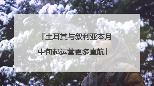 土耳其与叙利亚本月中旬起运营更多直航