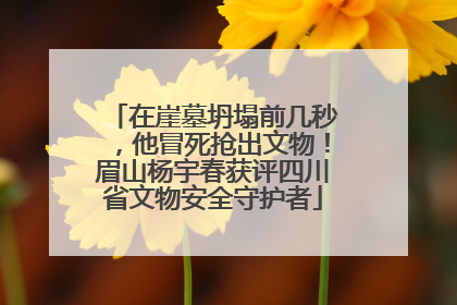 在崖墓坍塌前几秒，他冒死抢出文物！眉山杨宇春获评四川省文物安全守护者