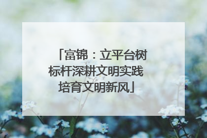 富锦：立平台树标杆深耕文明实践培育文明新风