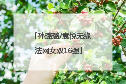 孙璐璐/袁悦无缘法网女双16强