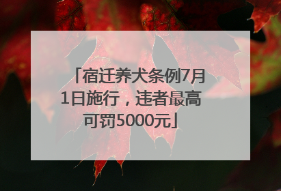 宿迁养犬条例7月1日施行，违者最高可罚5000元