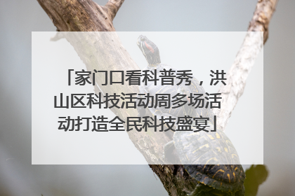 家门口看科普秀，洪山区科技活动周多场活动打造全民科技盛宴
