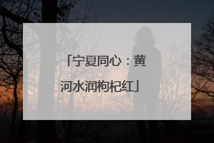 宁夏同心：黄河水润枸杞红