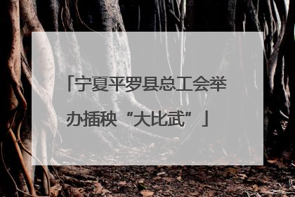 宁夏平罗县总工会举办插秧“大比武”