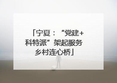 宁夏：“党建+科特派”架起服务乡村连心桥