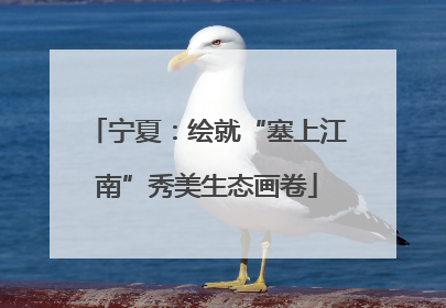 宁夏：绘就“塞上江南”秀美生态画卷