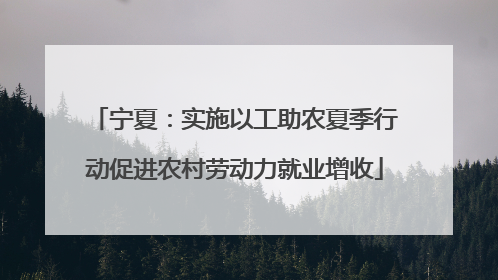 宁夏:实施以工助农夏季行动促进农村劳动力就业增收