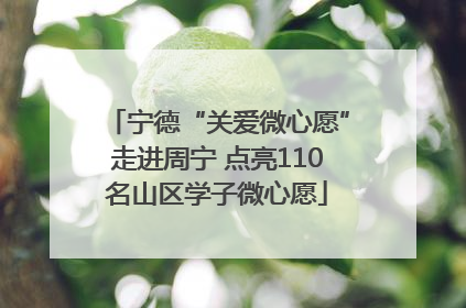 宁德“关爱微心愿”走进周宁 点亮110名山区学子微心愿