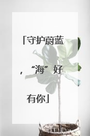 守护蔚蓝，“海”好有你