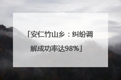 安仁竹山乡：纠纷调解成功率达98%