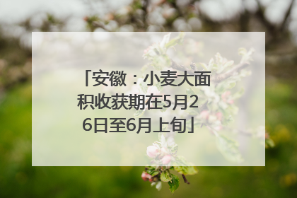 安徽：小麦大面积收获期在5月26日至6月上旬