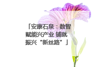 安康石泉：数智赋能兴产业 铺就振兴“新丝路”