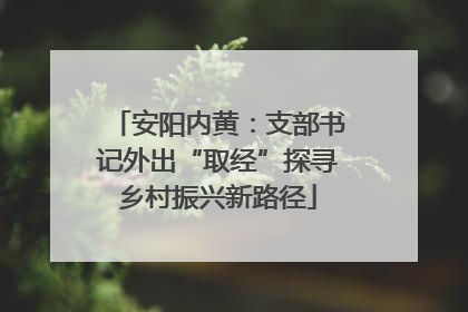 安阳内黄：支部书记外出“取经”探寻乡村振兴新路径