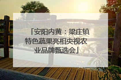 安阳内黄：梁庄镇特色蔬果亮相央视农业品牌甄选会