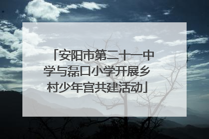 安阳市第二十一中学与磊口小学开展乡村少年宫共建活动
