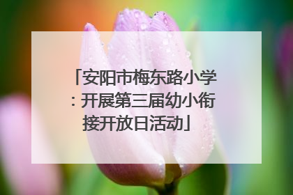 安阳市梅东路小学：开展第三届幼小衔接开放日活动