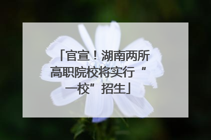 官宣！湖南两所高职院校将实行“一校”招生